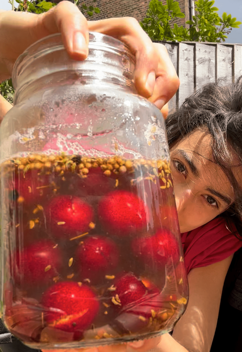 Pickled Cherries Recipe: A Sweet and Tangy Treat for Cheese and Salads