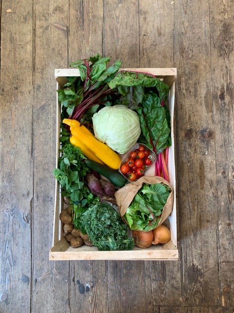 Large Seasonal Vegetable Box: Organic practices Cambridge