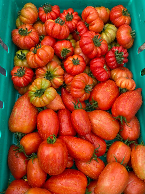 Small Seasonal Vegetable Box: Organic practices Cambridge